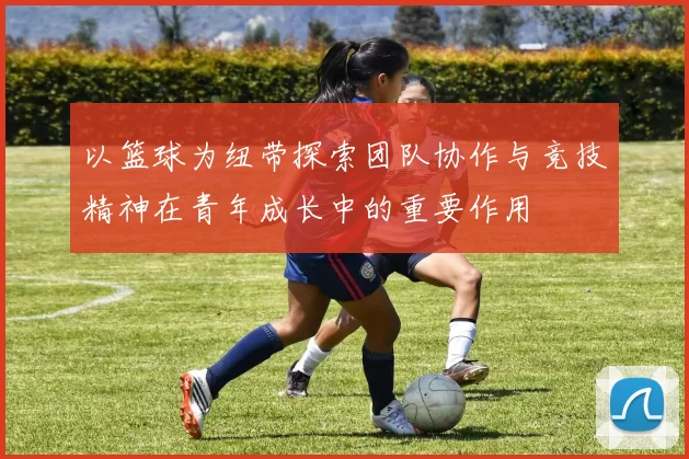 以篮球为纽带探索团队协作与竞技精神在青年成长中的重要作用