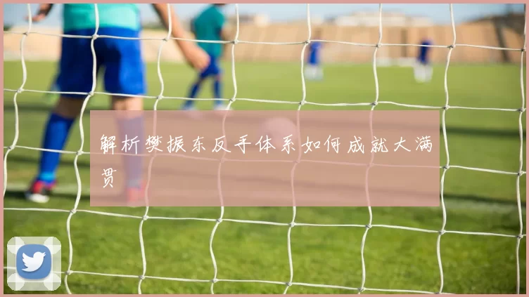 解析樊振东反手体系如何成就大满贯