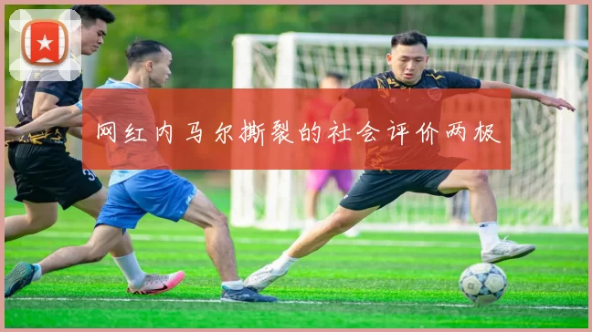网红内马尔撕裂的社会评价两极