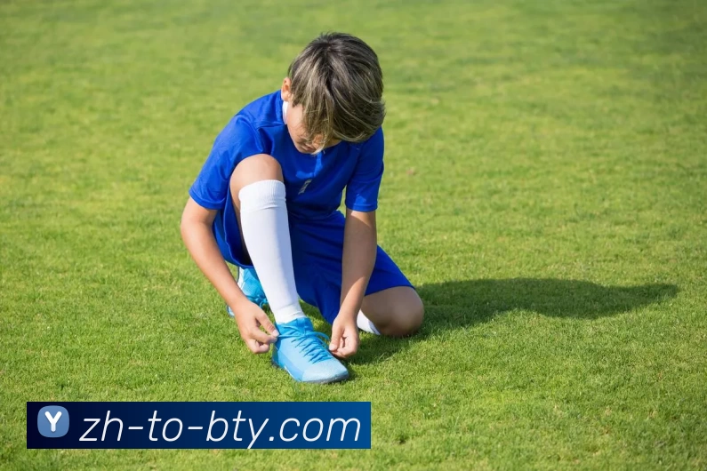 b体育官网入口APP 封面图